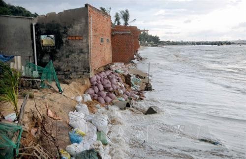 Hỗ trợ tỉnh Bình Thuận xây dựng bờ kè ngăn sạt lở bờ biển