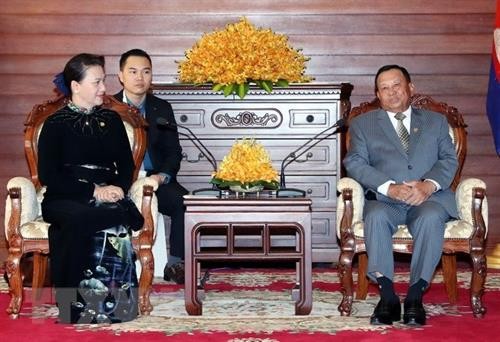 越南国会主席阮氏金银会见柬埔寨参议院主席赛宗