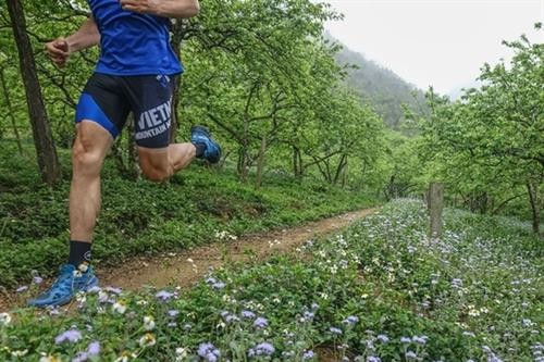 2019年越野马拉松赛即将在山罗省举行