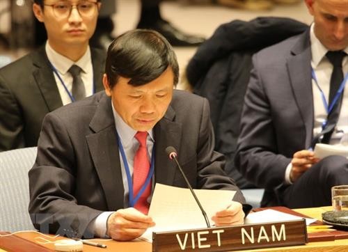 越南支持巴勒斯坦人民正义斗争和“巴以两国方案”
