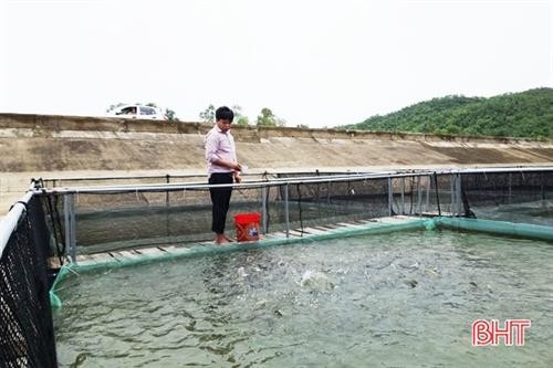 Trần Đình Thanh nuôi cá dày đặc trong lồng nhựa năng suất 20 kg/m3, 4 tháng thu 1 tỷ
