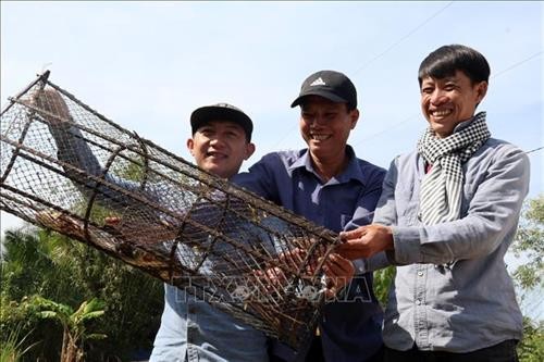 Độc đáo du lịch sinh thái rừng tràm U Minh Thượng bằng vỏ lãi “vượt chướng ngại vật”