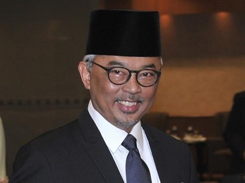 马来西亚选举新国王