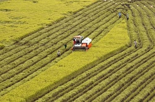 越南举办气候适应型九龙江三角洲可持续发展论坛的主张获批