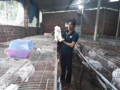 Hiệu quả bất ngờ từ mô hình chăn nuôi tổng hợp của anh Nguyễn Văn Thành