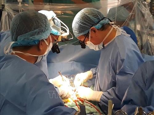 承天顺化省中央医院成功开展第三例心脏移植手术