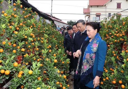 越南国会主席阮氏金银在兴安省新农村乡调研