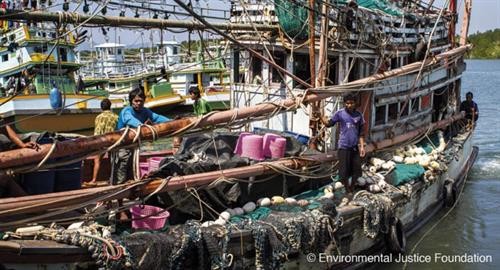 泰国脱离欧盟“预备非法捕鱼国”黑名单