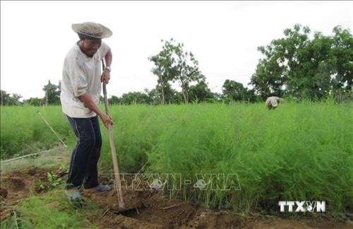 Ngành ngân hàng Ninh Thuận tăng tín dụng phát triển nông nghiệp, nông thôn