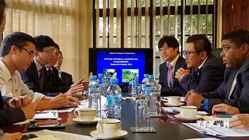 越南与日本企业合作助推莫桑比克经济社会的发展