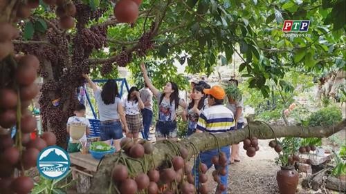 富安省把榔色果园打造成为可持续发展旅游产品