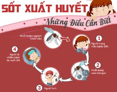 Bình Thuận: Bệnh sốt xuất huyết gia tăng, diễn biến phức tạp