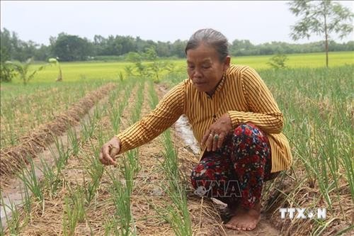 Chuyện về người phụ nữ Khmer “ăn cơm nhà lo chuyện thiên hạ” Châu Thị Sa Ly