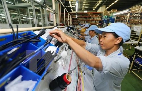 国际专家：越南经济展现活力