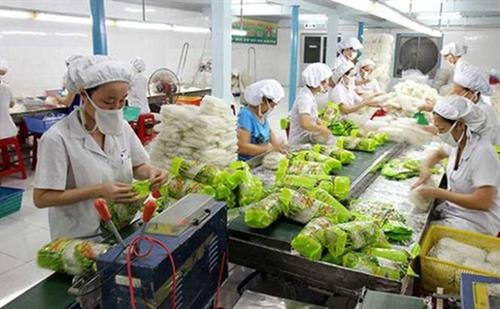 越南蔬菜水果迎来对亚欧市场出口的机会