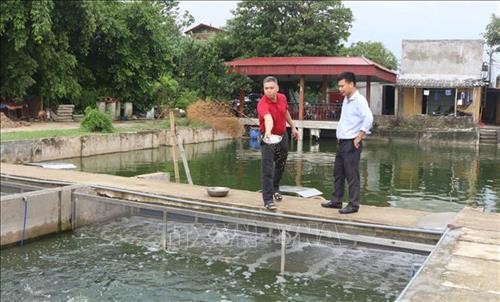 Nuôi cá ứng dụng công nghệ "sông trong ao” ở Hà Nam