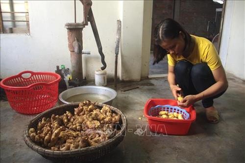 Chị Mai Thị Tuyết Sương khôi phục và phát triển nghề làm bánh nổ truyền thống