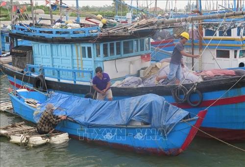 Ứng phó với bão số 5: Những hộ nuôi trồng thủy sản trên biển tại Phú Yên đang hoàn tất việc di chuyển vào bờ