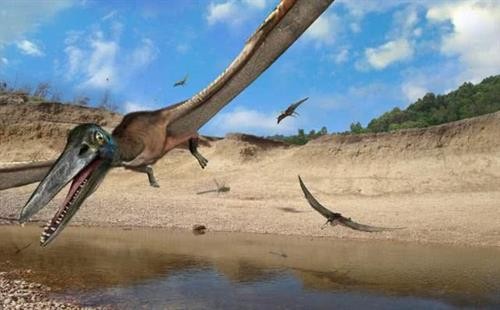 Phát hiện hóa thạch khủng long mới tại Australia