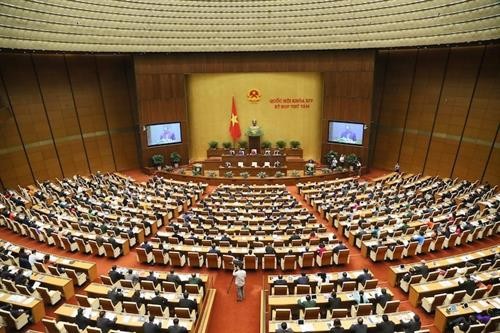越南第十四届国会第八次会议：分组讨论四部法案