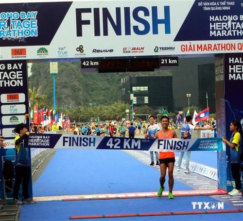 2019年下龙湾国际遗产马拉松大赛吸引3000余名选手参加