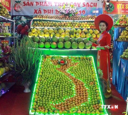 Khai mạc Hội chợ cam, bưởi và các sản phẩm đặc trưng Lục Ngạn