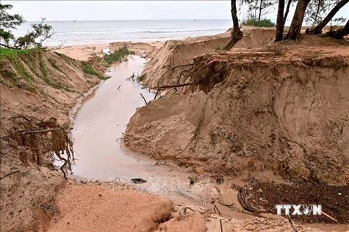 Khẩn trương khắc phục sự cố sạt lở nghiêm trọng tuyến đường ven biển ở Bình Thuận