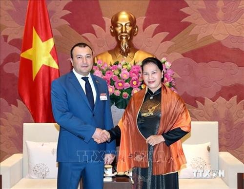 越南国会主席阮氏金银会见亚美尼亚国民议会副议长