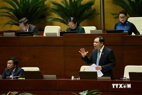 越南第十四届国会第八次会议：国会开始专题询问和回答询问活动