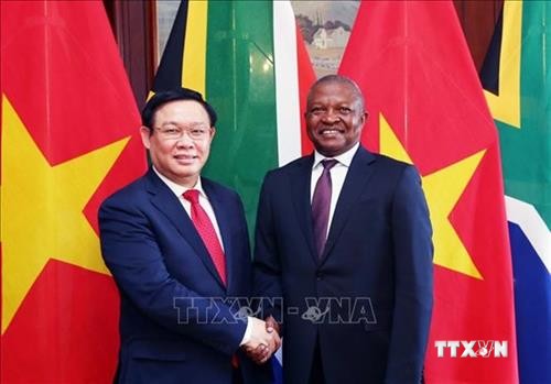 越南政府副总理王廷惠与南非副总统戴维会谈