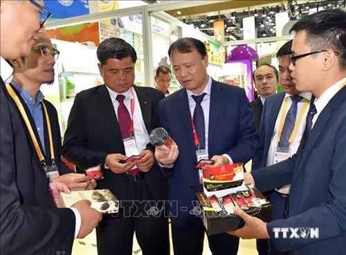 越南参加第二届中国国际进口博览会