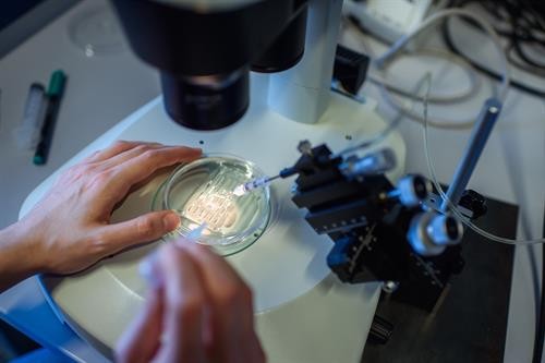 Thử nghiệm công nghệ chỉnh sửa gen CRISPR trong điều trị ung thư