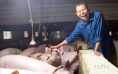 Lão nông Nguyễn Bá Hữu biến vùng "đất chết" thành trang trại tiền tỷ