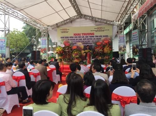 Bắc Giang đưa nông sản chất lượng cao đến với người dân Thủ đô