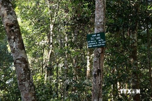 Đắk Nông điều tiết, cân đối chi trả dịch vụ môi trường rừng