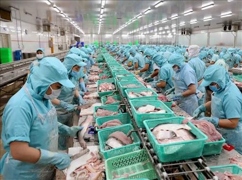提高查鱼出口价值 有效适应世界市场