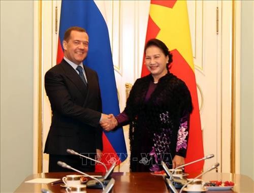 越南国会主席阮氏金银会见俄罗斯总理