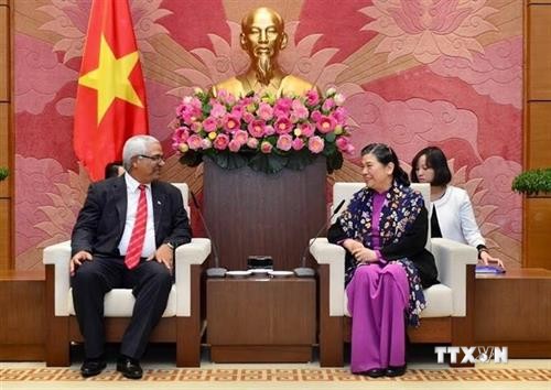 越南国会常务副主席丛氏放会见古巴司法部代表团
