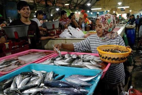 印度尼西亚计划建设国际海产品市场