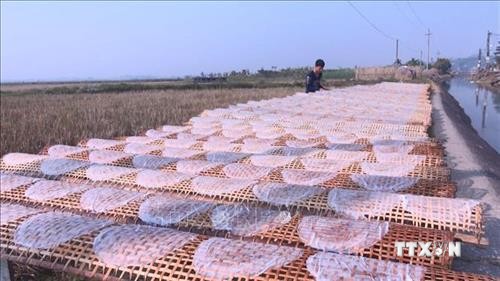 Làng nghề làm bánh đa nem Thiệu Châu nhộn nhịp vào vụ Tết 2020