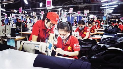 年底胡志明市就业市场呈现出活跃发展态势