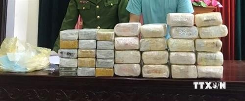 乂安省：查获一起贩卖毒品案 缴获18公斤冰毒和30块海洛因砖