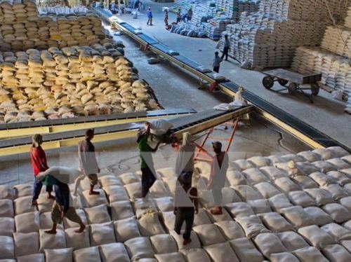 Xuất cấp hơn 110.780 tấn gạo hỗ trợ nhân dân trong năm 2019