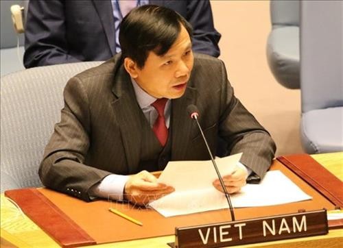 越南为担任联合国安理会非常任理事国职务做好准备