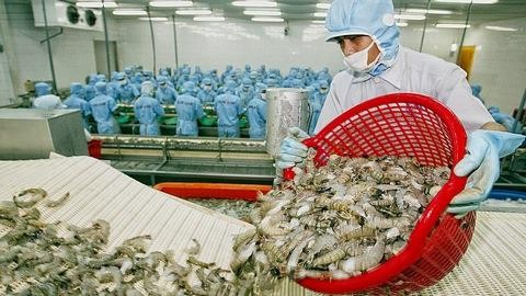 越南虾类对美国出口有望提升