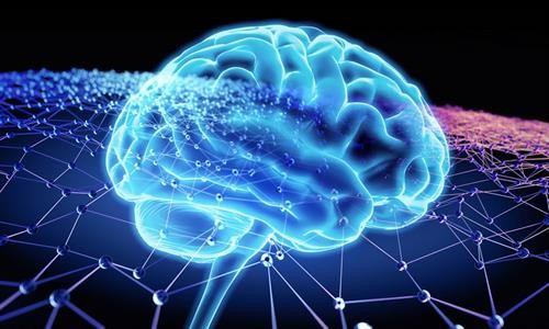 Phát hiện mối liên hệ giữa trí thông minh mềm và kích cỡ não