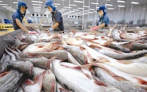 越南查鱼对俄罗斯出口大幅下降