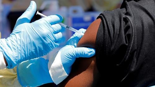 Nhật Bản thông báo kế hoạch bắt đầu thử nghiệm lâm sàng vaccine Ebola​