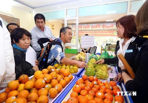 日本企业寻找对越南农产品投资合作商机
