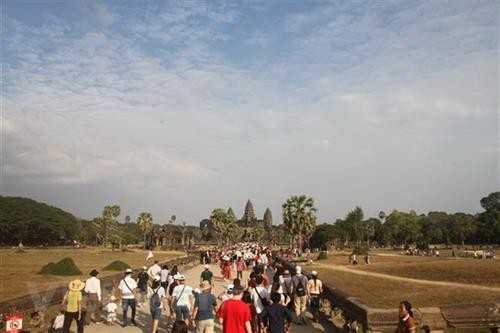 2019年新春佳节期间柬埔寨接待游客量达近100万人次